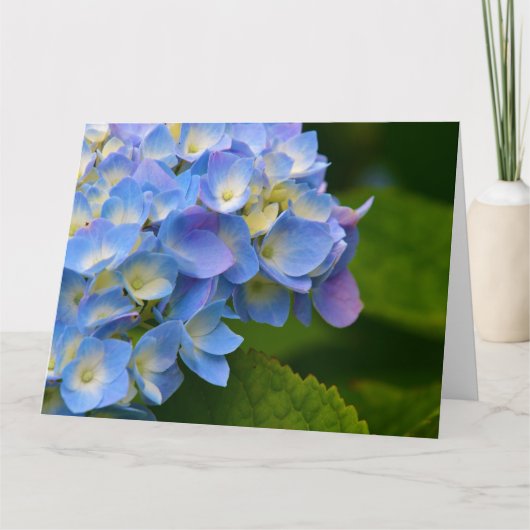 De Kaart van de Nota van de hydrangea hortensia (Voorkant)