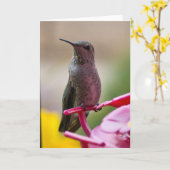 De Kaart van de Nota van de kolibrie (Gele Bloem)