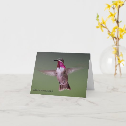 De Kaart van de Nota van de Kolibrie van Calliope (Gele Bloem)