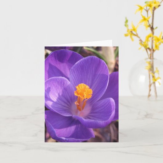 De Kaart van de Nota van de krokus (Gele Bloem)