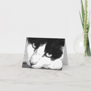 De Kaart van de Nota van de Kunst van de kat