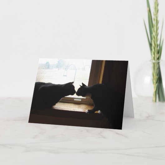 De kaart van de Nota van de Kus van het kat (Voorkant)