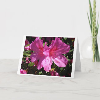 De Kaart van de Nota van de lente