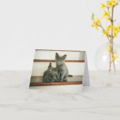 De Kaart van de Nota van de onschuld (Gele Bloem)