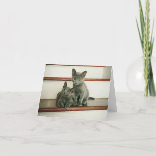 De Kaart van de Nota van de onschuld