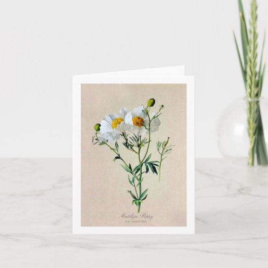De Kaart van de Nota van de Papaver van Matilija (Voorkant)