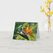 De Kaart van de Nota van de paradijsvogel (Gele Bloem)