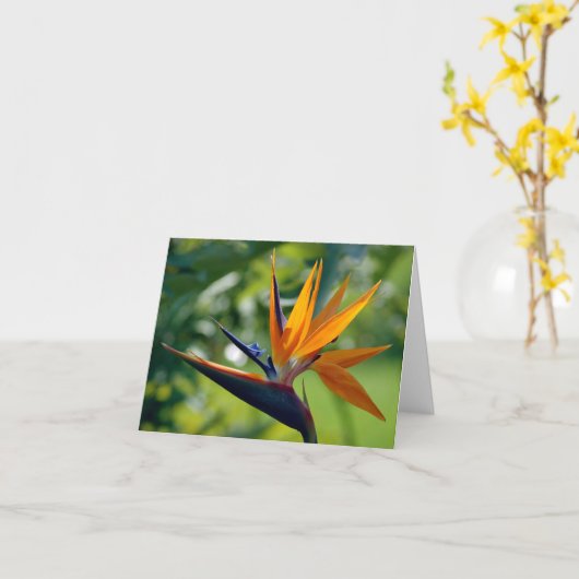 De Kaart van de Nota van de paradijsvogel (Gele Bloem)