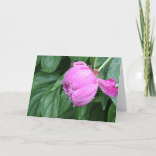 DE KAART VAN DE NOTA VAN DE PIOEN