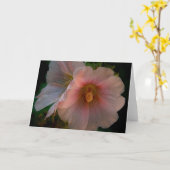 De Kaart van de Nota van de Rijnwijn van de hulst (Gele Bloem)