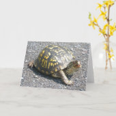 De Kaart van de Nota van de Schildpad van het (Gele Bloem)