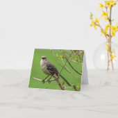 De Kaart van de Nota van de spotlijster (Gele Bloem)