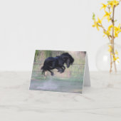 De kaart van de Nota van de Sprong van het Pony (Gele Bloem)