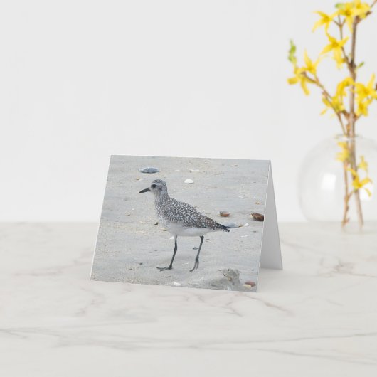 De Kaart van de Nota van de strandloper (Gele Bloem)