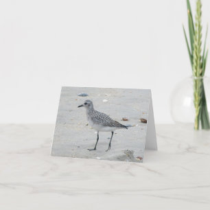 De Kaart van de Nota van de strandloper