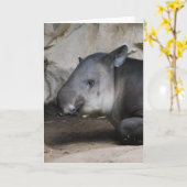 De Kaart van de Nota van de tapir (Gele Bloem)