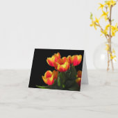 De Kaart van de Nota van de Tulp van Rembrandt (Gele Bloem)