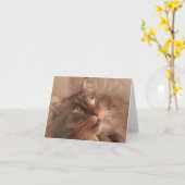 De Kaart van de Nota van de Wasbeer van Maine (Gele Bloem)