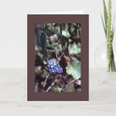 De Kaart van de Nota van de wijnstok (Voorkant)