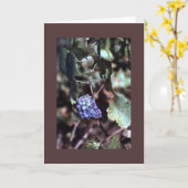 De Kaart van de Nota van de wijnstok (Gele Bloem)