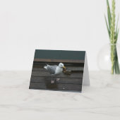 De Kaart van de Nota van de zeemeeuw (Voorkant)