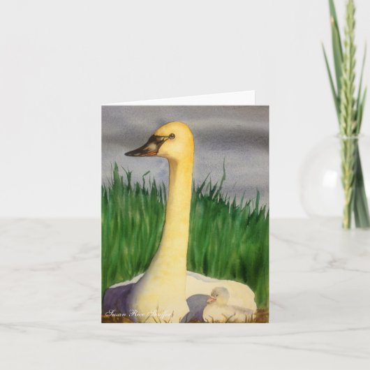 De Kaart van de Nota van de zwaan en van de Jonge (Voorkant)