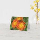 De Kaart van de Nota van Hawkweed (Gele Bloem)