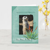 De Kaart van de Nota van het Collectie van Meerkat (Gele Bloem)
