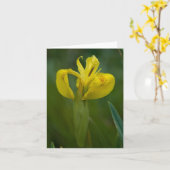 De Kaart van de Nota van het gele lis (Gele Bloem)