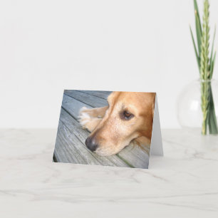 De Kaart van de Nota van het golden retriever