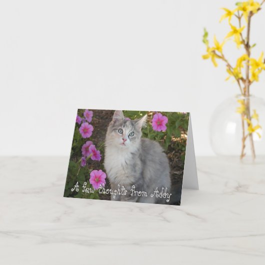 De Kaart van de Nota van het katje (Gele Bloem)