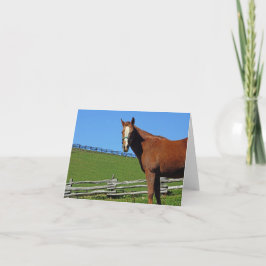 De Kaart van de Nota van het paard