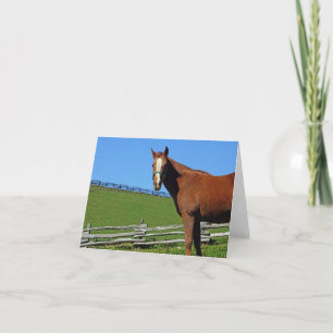 De Kaart van de Nota van het paard