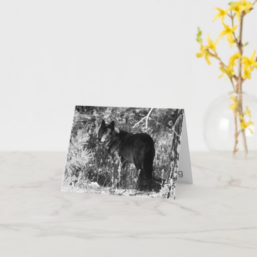 De Kaart van de Nota van het Pak van de zaagtand (Gele Bloem)