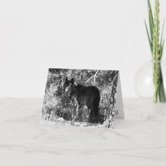 De Kaart van de Nota van het Pak van de zaagtand