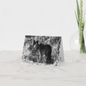 De Kaart van de Nota van het Pak van de zaagtand (Voorkant)