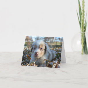De Kaart van de Nota van het puppy