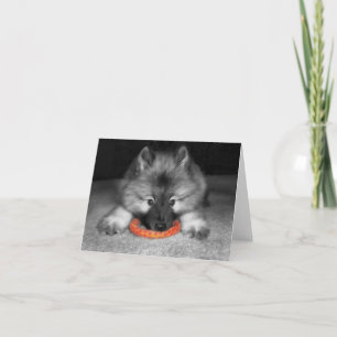 De Kaart van de Nota van het Puppy van Keeshond