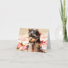 De Kaart van de Nota van het Puppy van Yorkie van
