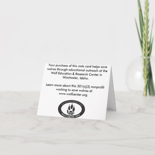 De Kaart van de Nota van Himtuuqin (Achterkant)