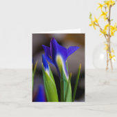 De Kaart van de Nota van irissen (Gele Bloem)