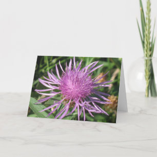 De Kaart van de Nota van Knappweed