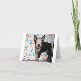 De Kaart van de Nota van Miterpiece