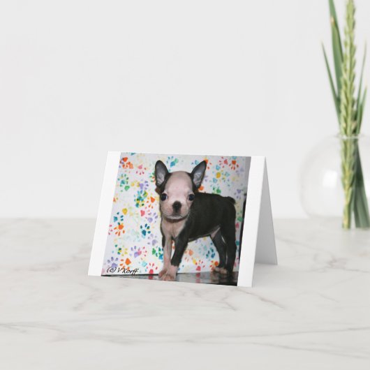 De Kaart van de Nota van Miterpiece (Voorkant)