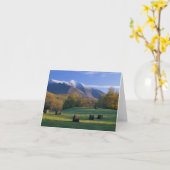 De Kaart van de Nota van MT Mansfield Vermont (Gele Bloem)