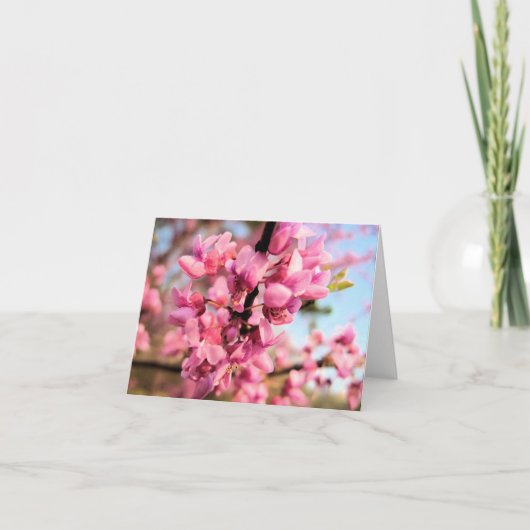 De Kaart van de Nota van Oklahoma Redbud (Voorkant)