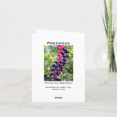 De Kaart van de Nota van Pokeweed (Achterkant)