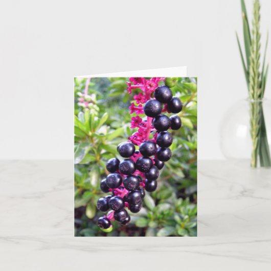 De Kaart van de Nota van Pokeweed (Voorkant)