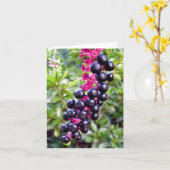 De Kaart van de Nota van Pokeweed (Gele Bloem)
