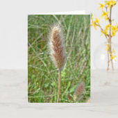 De Kaart van de Nota van Seedhead van het Gras van (Gele Bloem)
